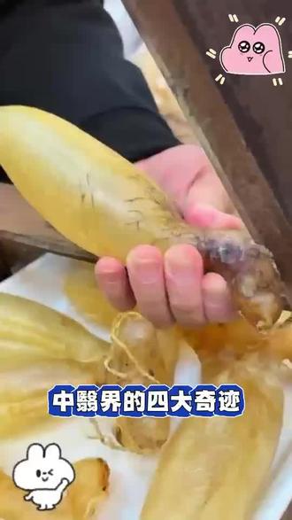 怪不得身边人都在用的秋大夫,原来这么权威!!!