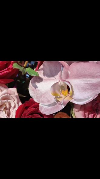 郑府婚礼现场
见证幸福时刻
祝新婚快乐,百年好🈴