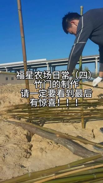 Hello大家好我们是8090后,种菜不emo。
这些呢,就是我们刚烤完的一部分竹子,现在打算先做一个竹门。
这个从来没做过啊,手艺……嗯……有点粗糙啊,最终成品效果就是这样的了,哈哈哈,给我笑cry了#种地 #农业