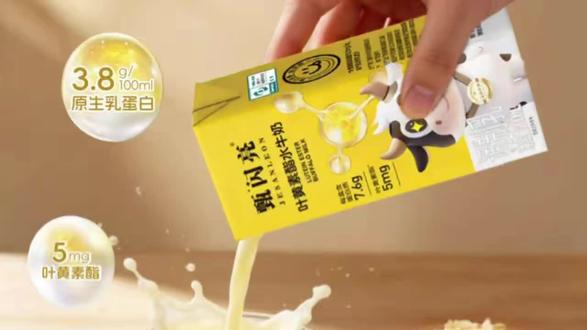甄闪亮是一个极具品牌战略和洞察力的商业逻辑,欢迎大家来了解我们甄闪亮!
