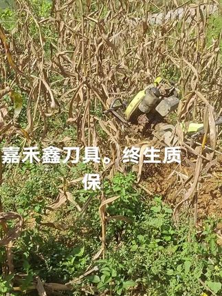 防缠。深挖#服务三农 #高性能实用工具
