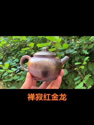 红金龙 禅寂柴烧壶#柴叔 #浪鬼