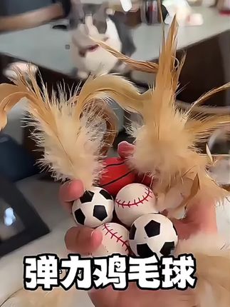 弹力鸡毛球最急老火了#快来入#宠物玩具#鸡毛弹力球 #猫孩子的日常生活 #宠物玩具推荐