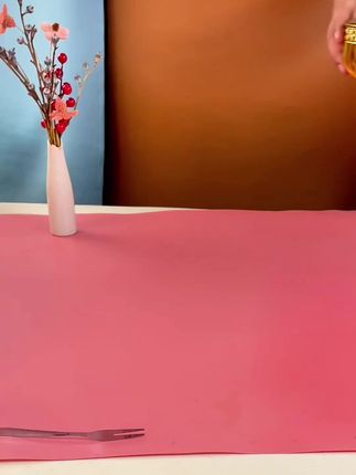 新款带盖水果盘来袭#带盖水果盘 #带盖试吃盘 #客厅水果盘摆件