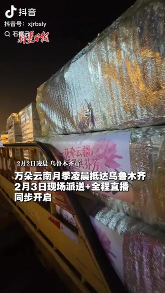 娇龙月季空降新疆昭苏县