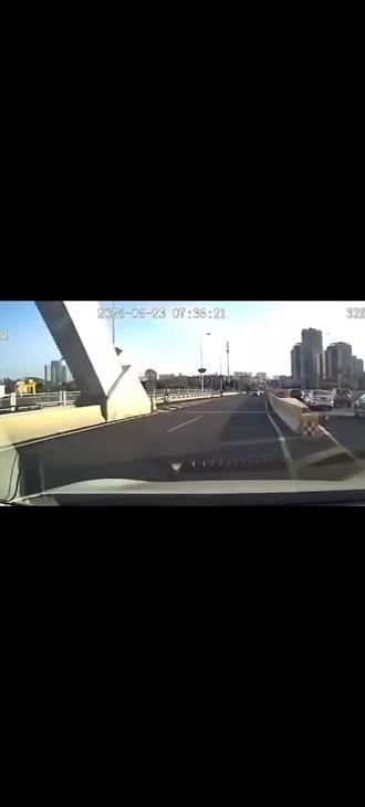 #不是原创但视频是我自己做的 #继国缘一
你把生命当成什么?