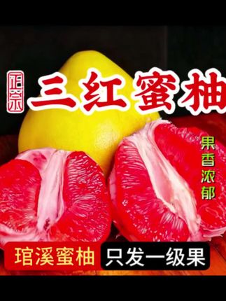 【鼠贝贝专属】正宗福建漳州平和三红蜜柚琯溪蜜柚产地新鲜皮薄柚子
