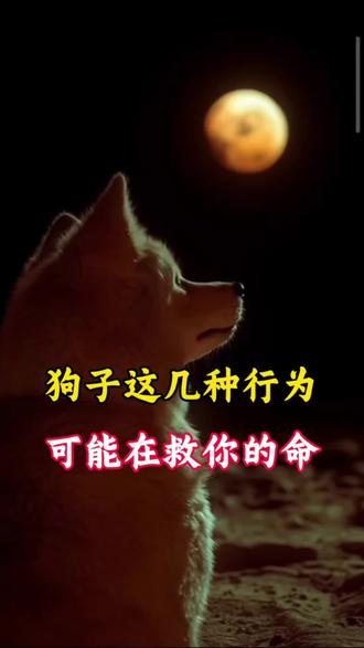 狗子的这几种行为,可能在救你的命#养宠知识 #宠物萌宠 #狗子啥意思