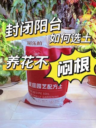 实实在在的分享一款好用的营养土…作为关窗最早的黑龙江来说,我家花卉绿植能做到纯封闭不闷根就是最好的证明#封闭阳台养花 #好物分享🔥 #营养土推荐 #花卉绿植 #养护小知识
