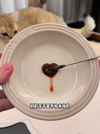 好的冻干不是水泡的,肉眼可见的兔血做成冻干,猫猫狗狗都可以吃!#萌宠好物