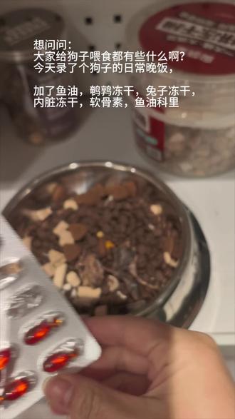 给狗子喂食#美食 #柴犬 #狗粮 #狗饭 @DOU+上热门 @抖音创作小助手 @DOU+小助手