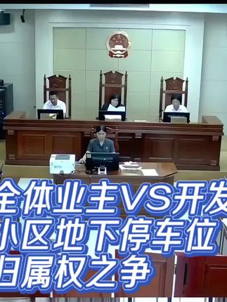 小区地下停车位归属权之争#法律#业主#停车位#民法典#打官司