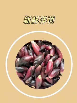 你有多久没吃到这个味道了?这个季节的新鲜洋荷,清香脆嫩,用来炒腊肉清香四溢,#阳荷#舌尖上的味道#地方特色美食#无限回购的宝藏单品