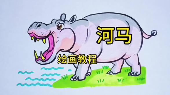 一起画动物,河马绘画教程#画画#绘画#动物#河马#教程