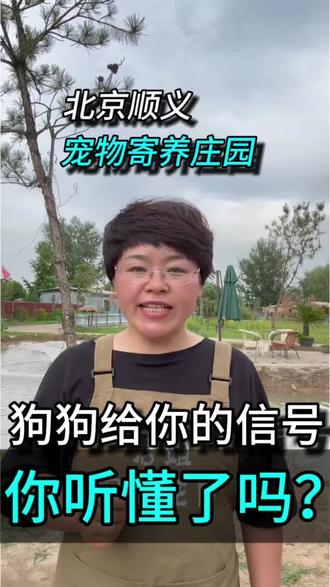 别再误解你家狗狗,小心被误伤! #北京宠物寄养#北京同城宠物 #毛孩子#长期寄养#宠物养老院#北京养宠人 #本地养宠