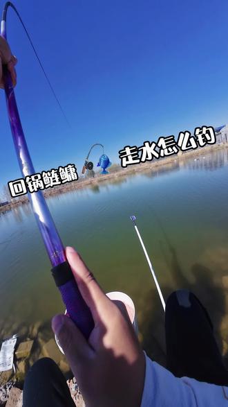 来喽来喽 黑坑回锅鲢鳙,到底怎么钓!
#真实生活分享计划 #鲢鳙 #钓鱼