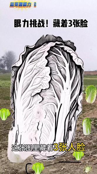 眼力挑战!藏着3张脸#眼力测试大挑战 #找人脸挑战
#视觉错觉
#考验眼力
#趣味看图