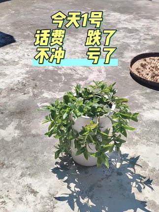 #热门 #我的乡村生活