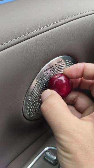 下次ota升级时把尊界上面喇叭罩刮洋葱功能给下放到享界上呗 #尊界s800 #享界 #鸿蒙智行