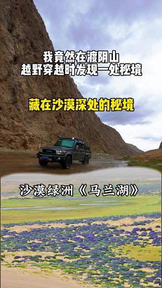 藏在沙漠深处的绿洲《马兰湖》 穿越万里渡阴山 奔赴沙海马兰湖 车轮碾过荒野 自由从不设限#马兰湖沙漠 #越野穿越 #旅游推荐官 #渡阴山自驾越野