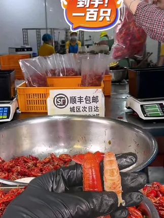 楚虾王麻辣小龙虾潜江小龙虾3盒共2100g新鲜蒜蓉加热即食#小龙虾#即食#好吃#龙虾尾#蒜蓉小龙虾