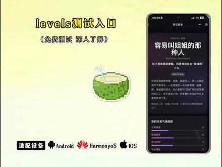 《石村村长》leves测试入口获取教程准没错,题目设计科学,侧重实用能力考察#测试入口#性格测试#测试#引导型恋人