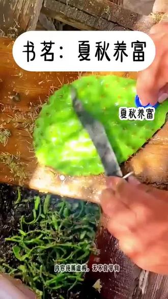 夏秋养富#QQ阅读 #原创视频 #强烈推荐