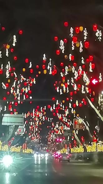 花开花落本无果
是人心中太执着