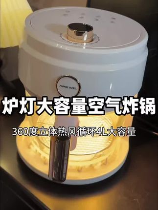 #日本品牌大容量空气炸锅#空气炸锅#空气炸锅美食 #好物推荐🔥