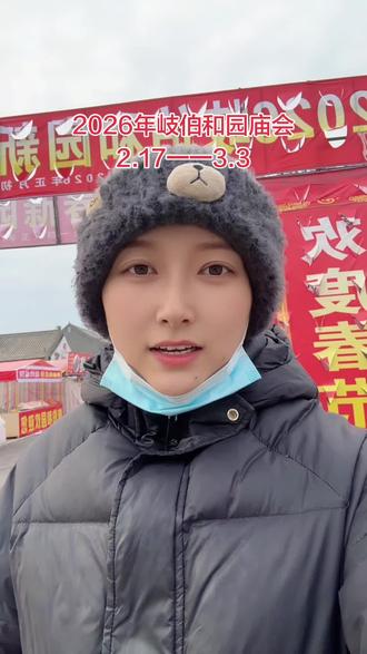 岐伯和园庙会 #摆摊 #碎梅梅 #庙会