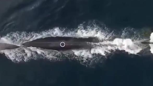 战略核潜艇才是真正的大国重器#096型核潜艇 #潜艇