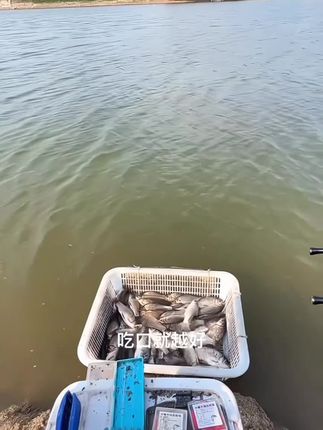 路亚逗钓半水球快拆线组半水浮球路亚逗钓线组球球线组#垂钓技巧 #户外钓鱼 #钓鱼知识 #钓鱼装备