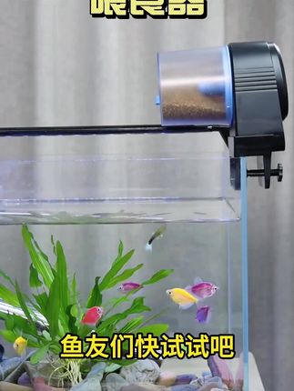 鱼缸自动喂食器定时喂鱼金鱼小型鱼投食器充电智能喂乌龟:/ 喂鱼神器#鱼缸 #鱼缸投喂器 #实用 #投食 #高性能实用工具