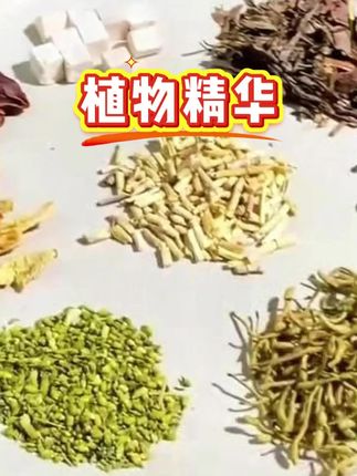 #大家好 #粤语 #我的乡村生活 #草本植物 #广东靓汤