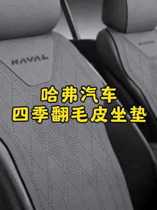 哈弗H6专用汽车坐垫大狗枭龙MAX赤兔M6神兽H9夏季四季翻毛皮座套