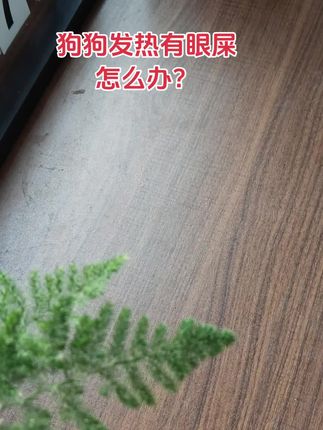 #狗狗#新手养狗#科学喂养#不养狗不知道养狗的乐趣 #养狗人