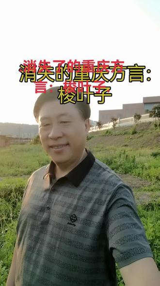 消失了的重庆方言:梭叶子