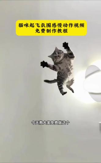 萌宠猫咪起飞氛围感慢动作特效视频制作教程!
#慢动作猫猫起飞视频怎么拍 #猫咪空中飞慢动作 #剪映 #猫咪怎么折慢动作教程 #猫猫起飞视频怎么拍 小猫咪怎么折慢动作教学 真爱降临猫咪版 猫咪起飞慢动作教程 猫咪起飞慢动作特效制作教程 猫咪转场特效教程