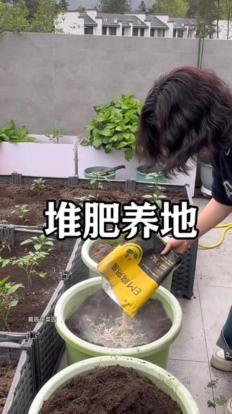 老菜叶不是垃圾,撒一把发酵菌20天左右就是很好的有机肥#我的小菜园#田园生活 #堆肥#堆肥发酵#种植小技巧