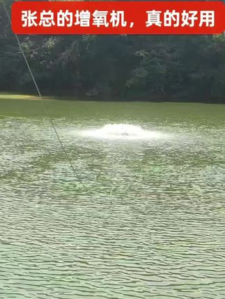 感谢王总给我实拍的短视频!#增氧机#鱼塘增氧机#池塘增氧机#源头实力厂家 #水产养殖