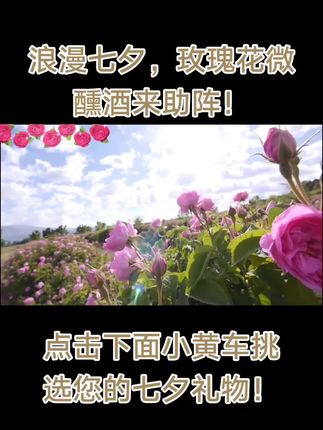 七夕节快乐!玫瑰花微醺酒来助阵!