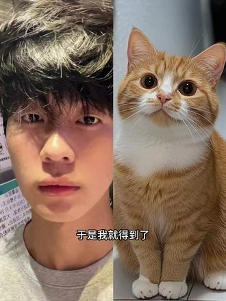 世界不能没有小猫咪#狸花猫小猫#豆包你还是太权威啦 和猫猫相拥,和自家萌宠合照,和猫猫拥抱ai合照,指令教程来啦!#和宠物合照豆包p图 和猫猫合照#豆包ai#豆包P图