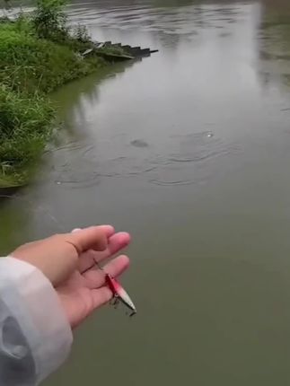 路亚飞蝇钩#钓鱼野钓 #路亚飞蝇钩 #微物路亚