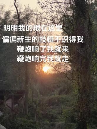 小时候想快点长大,长大了又想回到小时候