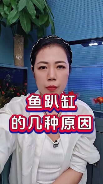 鱼趴缸什么原因#观赏鱼#养鱼日记#锦鲤#新手养鱼