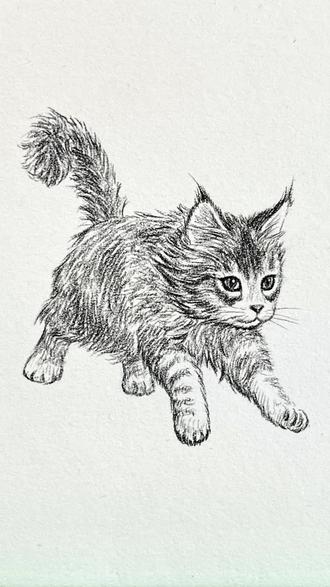 一分钟学会!超简单的画缅因猫方法✿ ◡‿◡✿
#绘画教程 #一起学画画 #画缅因猫 #画猫 #画猫咪