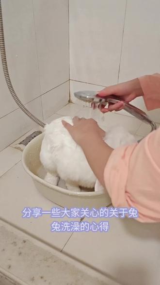 小白洗澡视频堪称绝世好兔,对吧#兔兔
