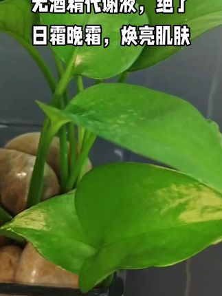 #好物推荐🔥 #闪姐 #无尴尬素颜灯泡肌 #强烈推荐 #自用好物分享