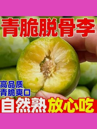 【酸脆口感】正宗四川高山脱骨李子当季新鲜李脆青脆水果整箱孕妇 #夏日清爽 #李子好吃 #孕妇水果好选择 #新鲜采摘 #脆李子