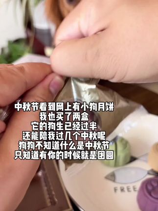 今年的中秋节,我的毛孩子也有月饼吃了#我和我的狗#狗狗干饭#月饼 #中秋节